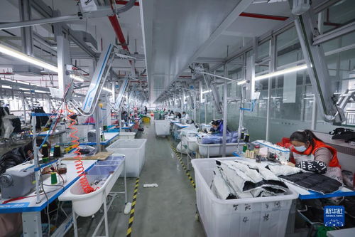 湖州童裝之都 以輔料制造為基石，從“做產品”到“創品牌”的產業升級之路